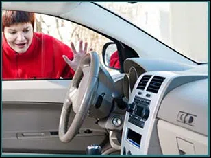  Elk Grove Village Locksmith Store Elk Grove Village, IL 847-227-6006